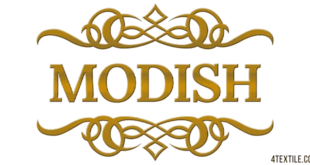 Modish Lucknow: Fashion & Lifestyle