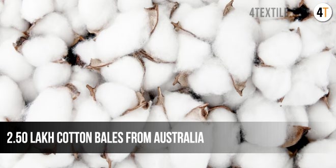 2.50 Lakh Cotton Bales from Australia to Boost Gujarat's Textile Industry